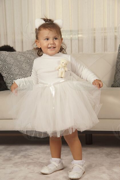 Toy Teddy Bear Print Long Sleeve Lined Girls' Tulle Piece Dress
