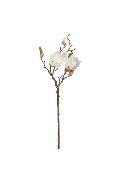 MANOLYA ÇİÇEĞİ BEYAZ 51CM