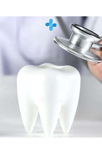 Mentol Aromalı Dental Diş Temizleme Tozu Antitartar