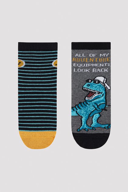 Boy's Dino Adventure 2-Piece Multicolored Socks