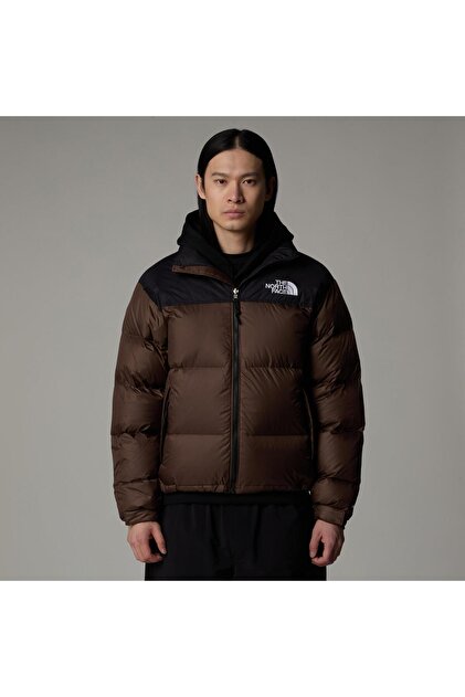 THE NORTH FACE ブラウン ジャケット L THE NORTH FACE MOUNTAIN JACKET ココアブラウン 22FW-I（ザ・ノース
