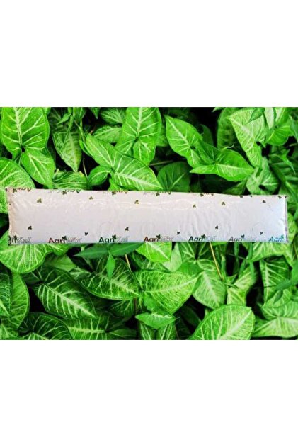 GrowBAGS Çilek Cocopeat Çilek Yetiştirme Ortamı 100x13x10 cm