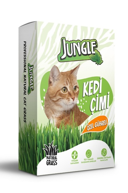 Kedi Çimi Kutulu (Fileli)
