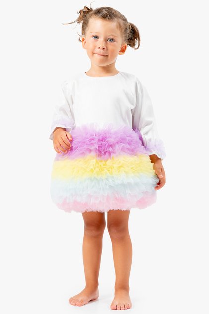 Baby Girl Dress Girls' Dress Birthday Party Wedding Tutu Tulle Long Sleeve Lined Dress