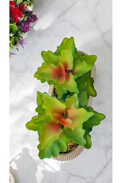 DDTREND Cactus artificial Sempervivum Tomentosum Suculent Gri