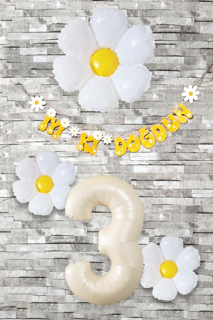Daisy Theme Birthday Balloon Ornament Set Age Balloon with Banner Balloon Chain Package