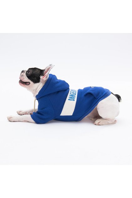 Mavi Cute Köpek Hoodie Köpek Sweat Köpek Kıyafeti Kedi Kıyafeti