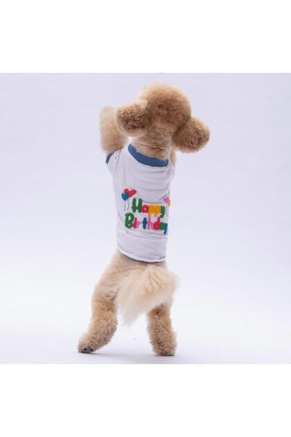 Happy Birthday Cat and Dog Sweatshirt - Cat and Dog Outfit