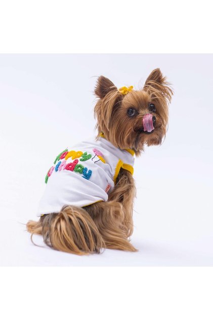Cat Dog Happy Birthday T-Shirt - Outfit Patterned