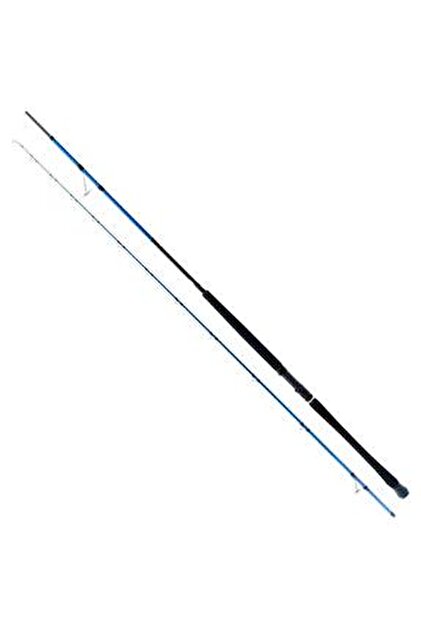 Ryuji SHORE GAME FUJI KW 3.10M 60-150GR 2P SHORE JIG KAMIŞ