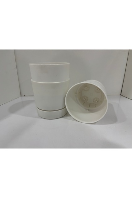 3 ADET Begonya 12 cm Saksı BEYAZ 1 LİTRE