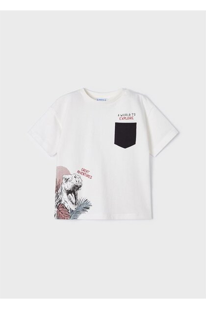 Boy's Dinosaur Printed T-shirt