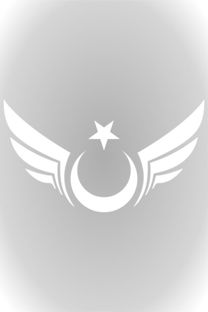 Winged Moon Star Sticker Auto Car Sticker Glass Sticker White 30 X 17 Cm