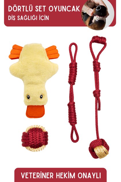 Set of Four Dog Toy with Sound and Traction Plush Rope Toy Dog Play Ball