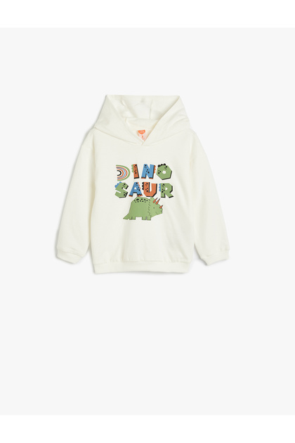 Hooded Sweatshirt Long Sleeve Crew Neck Dinosaur Print Detailed Cotton