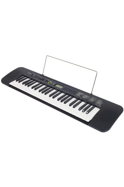 Casio CTK-240 49 Tuşlu Org (Adaptör Hediyeli) - Fiyatı, Yorumları