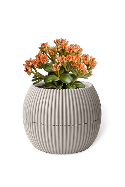 ペクタスエッグ ENKA - ÜRÜN