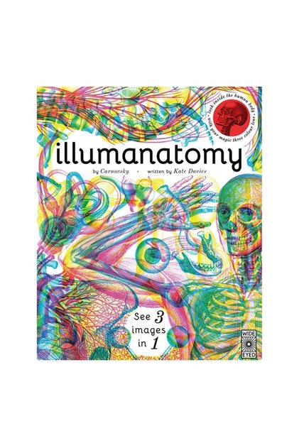 Illumanatomy