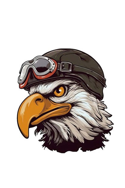 Pilot Kartal Sticker Car, Motorcycle, Helmet, Laptop, Glass Sticker 13X11 cm