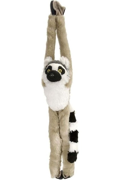 Maimuta care se agata Lemur
