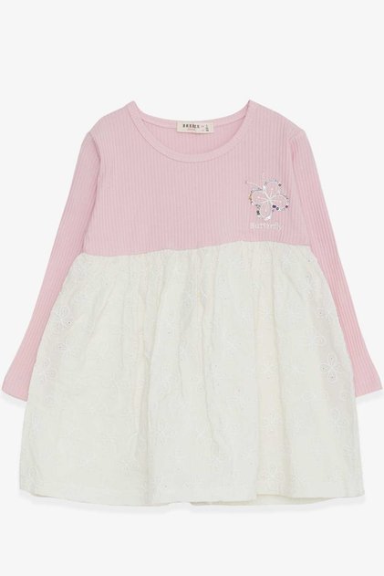 Girl's Long Sleeve Dress Sequined Butterfly Embroidered 2-6 Years, Pink