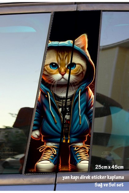 Rapper Cat 2 Pieces Sticker Door Post Cover Set Colorful Foil and 2 Pieces Fender Ornament Gift Set