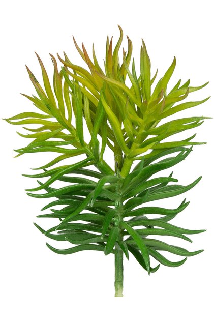 Floare artificială, Cactus suculent, Verde - 15 cm