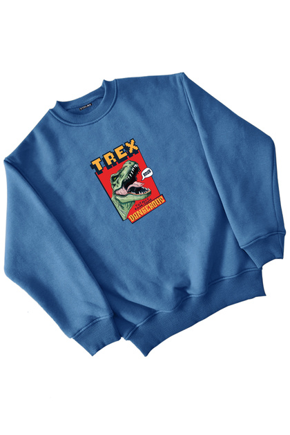 T-Rex Dinosaur Printed Girls Boys Navy Blue Sweatshirt