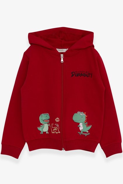 Boy's Cardigan Skateboard Dinosaur Printed 1-4 Years, Red