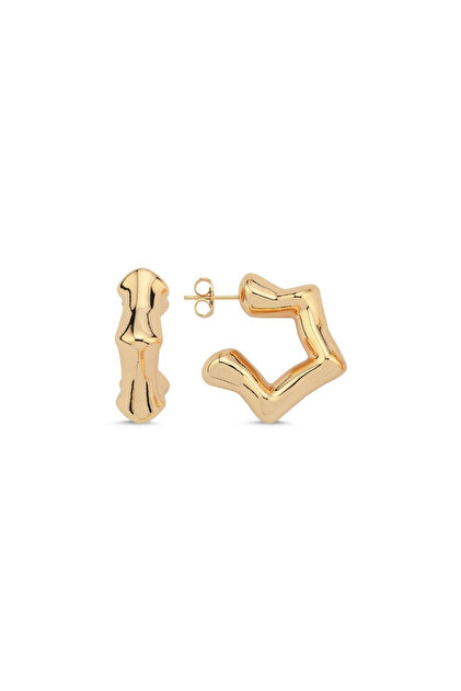 Stern Gold Küpe