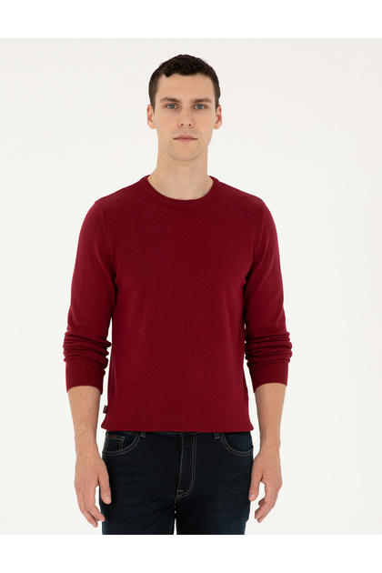 Vişne Slim Fit Crew Neck Basic Knitwear Sweater 50296575-Vr223