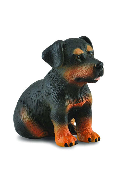 Catelus Rottweiler - Animal Figurina