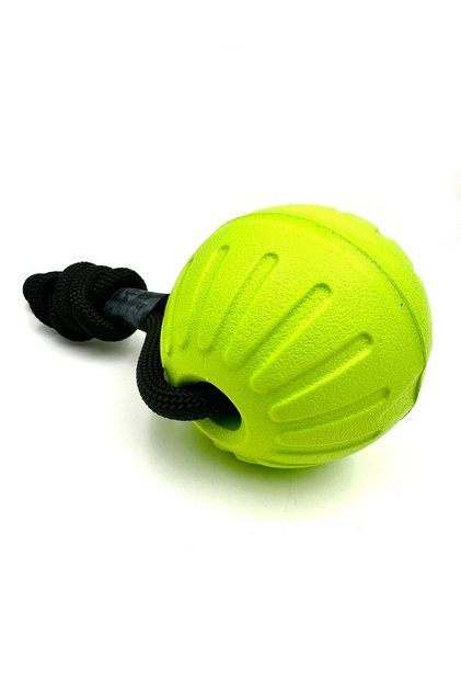 Green Waterproof Dog Training Ball Toy with Handle 9cm