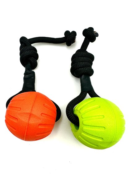 Dog Training Ball Toy with Waterproof Grab Handles Set of 2 9cm