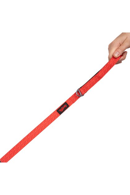 Cat Dog Transport & Travel Strap Prism