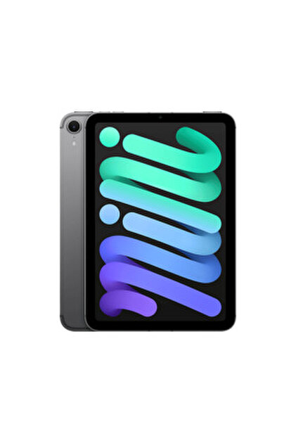 Apple 13 inç iPad Pro M4 WiFi 256 GB Tablet Gümüş MVX33TU/A