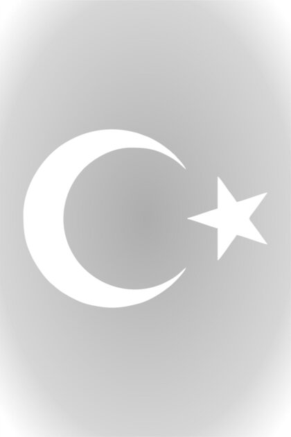 Ay Yıldız Sticker Türk Bayrağı Sticker 10 X 7,5 Cm Beyaz