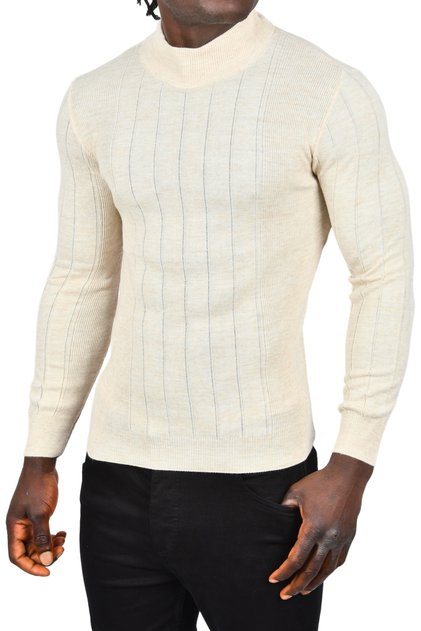 Men's Beige Half Turtleneck Striped Non-Pilling Slim Fit Knitwear Sweater 2505491