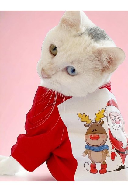Santa and Friend Rudolph Kedi Tişörtü Yılbaşı Noel Christmas Kedi Elbisesi