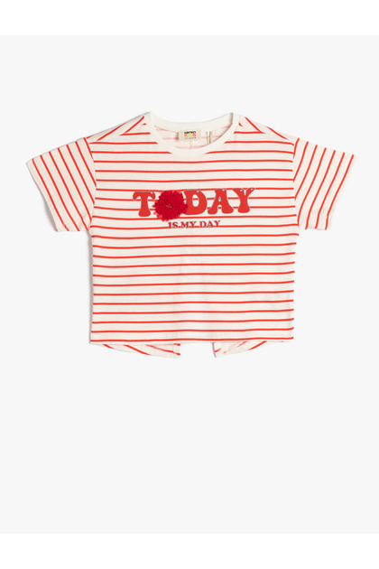 Cotton Short Sleeve Crew Neck T-Shirt - Window Detail Back
