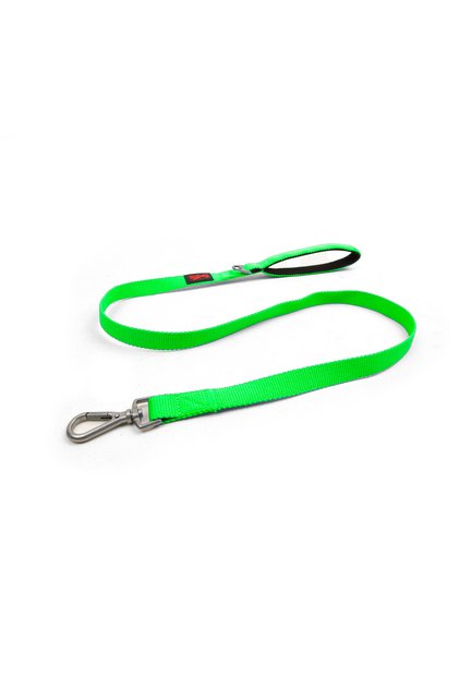 Neon green cat & dog leash for walking and transport