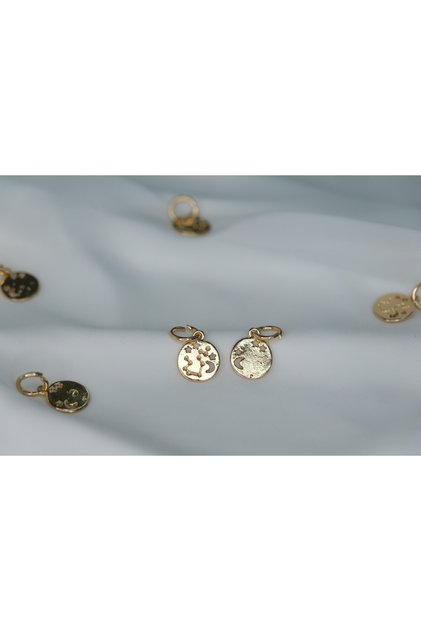 Stainless Steel Charm with Team Star Figure