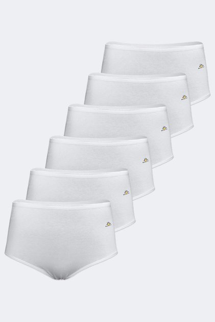 Women's Pack of 6 White Modal High Waist Slip Panties 6gg1851