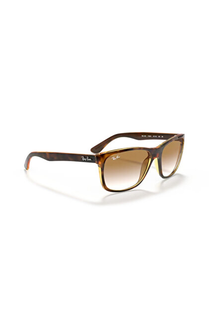 324 Ray Ban RB4181 710/51 べっ甲 グラデーション Ray-Ban RB4181 710
