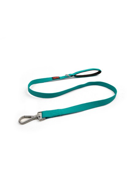 Cat Dog Transport & Travel Strap Emerald