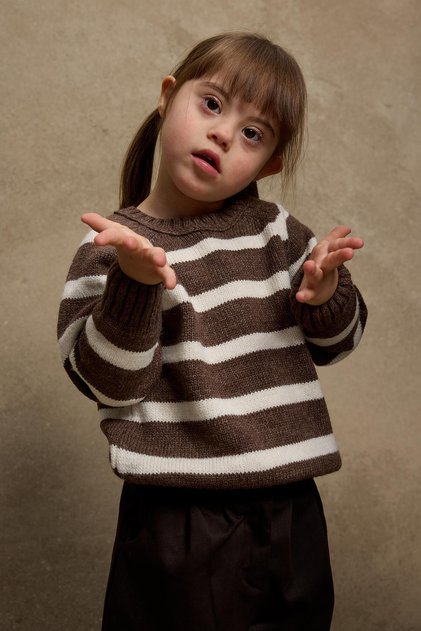 Striped Sweater Sweater Brown