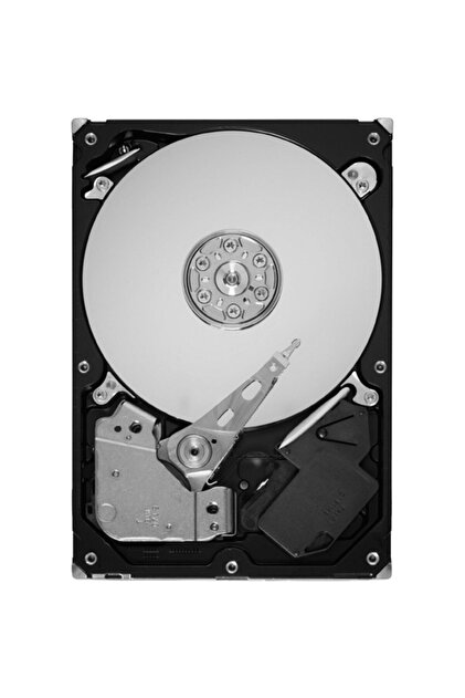Seagate Skyhawk 1 TB 3.5'' ST1000VX005 64 MB 5900 Rpm Güvenlik HDD