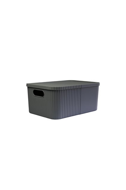 12-Liter Multi-Purpose Large Storage Box with Lid - Toy, Cosmetic Personal Item Organizer