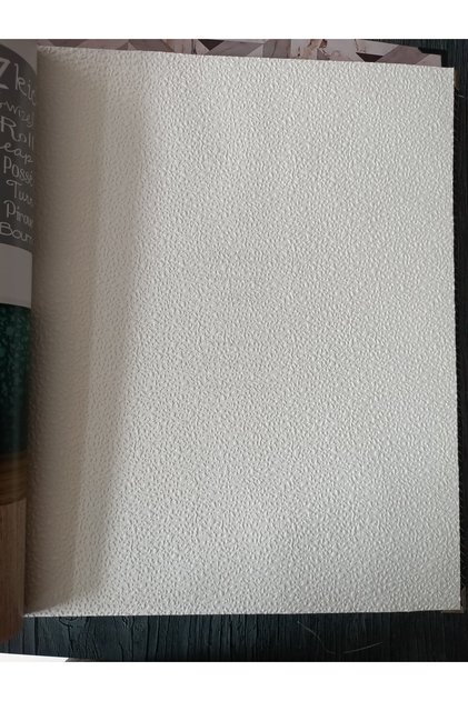 Ankawall Picasso Boyanabilir Tavan Ve Duvar Kağıdı 26,5m2