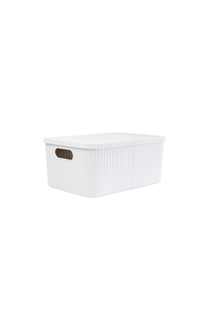 12-Liter Multi-Purpose Large Storage Box with Lid - Toy, Cosmetic Personal Item Organizer